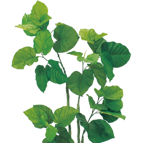 樹木プランター GR5016 H1150 ウンベラータ(GR5016)_2