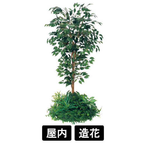 テーブル樹木 GR5140 H1500 530Ф フィカスベンジャミン(GR5140)
