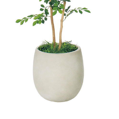 樹木プランター GR5100 H1200 トネリコ(GR5100)_3