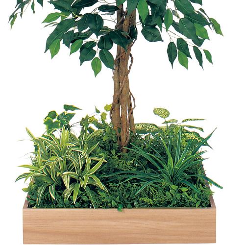 テーブル樹木 GR5125 H1200 530角 フィカスベンジャミン(GR5125)_2