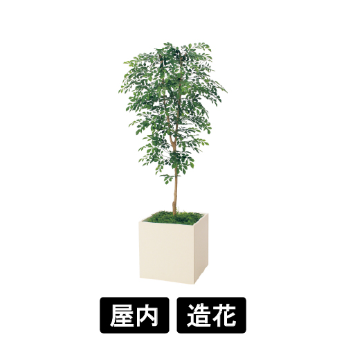 樹木プランター GR5107 H1700 トネリコ