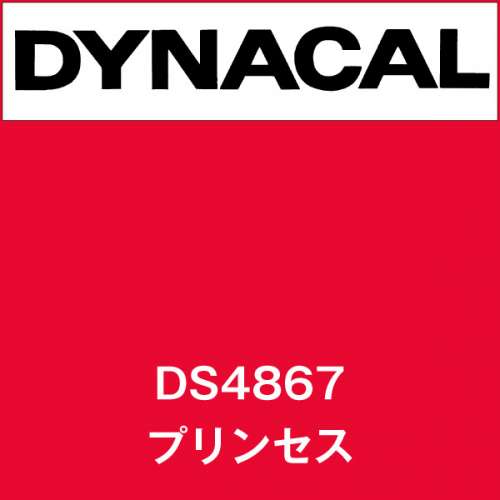 ダイナサイン DS4867 プリンセス(DS4867)