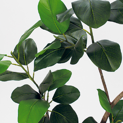 樹木プランター GR5099 H1850 ゴムの木(GR5099)_2