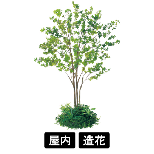 テーブル樹木 GR5142 H1900 530Ф ドウダン