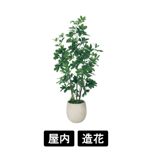 樹木プランター GR5103 H1500 シェフレラ(GR5103)