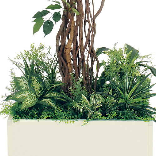 寄せ植えプランター GR5030 H2100 フィカスベンジャミン(GR5030)_2