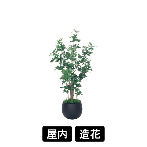 樹木プランター GR5007 H1800 シェフレラ