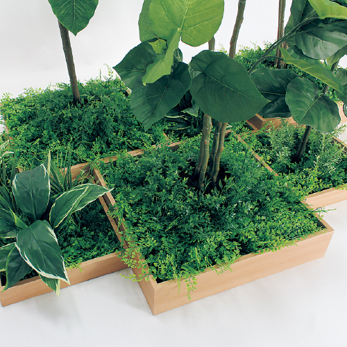 連接樹木 GM5703 H1800 7連 ウンベラータ(GM5703)_2