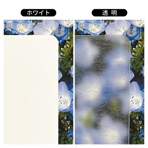 はるはるタック_2