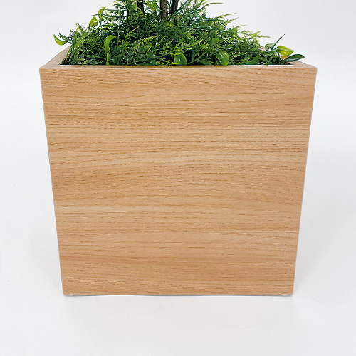 樹木プランター GR5080 H1100 シェフレラ(GR5080)_3