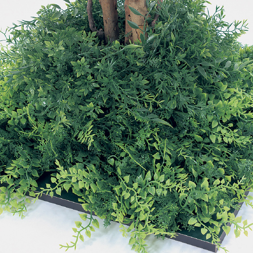 連接樹木 GR5058 H2100 450角 フィカスベンジャミン(GR5058)_2