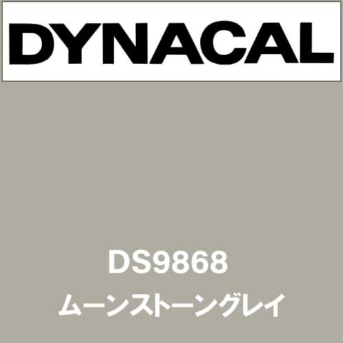 ダイナサイン DS9868 ムーンストーングレイ(DS9868)