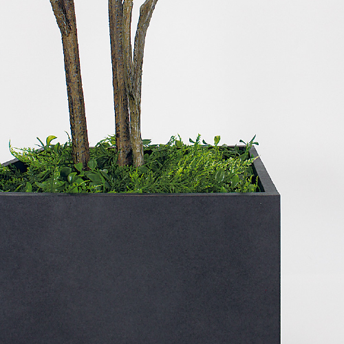 樹木プランター GR5095 H2100 ドウダン(GR5095)_3