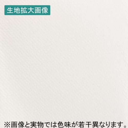 彩dex120 高発色クロス(彩dex120)_4