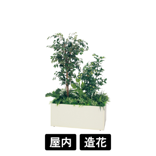 寄せ植えプランター GR5031 H1700 フィカスベンジャミン&シェフレラ