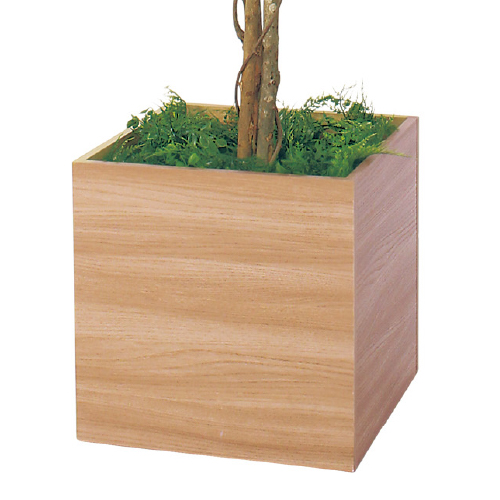 樹木プランター GR5110 H1900 フィカスベンジャミン(GR5110)_3