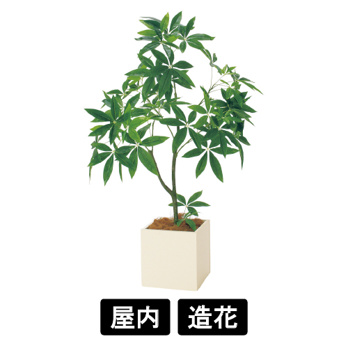 樹木プランター GR5111 H1350 パキラ